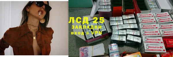 крисы Алексин