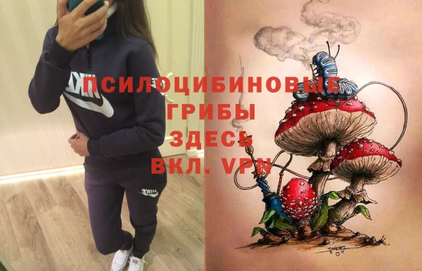крисы Алексин