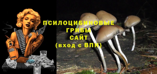 крисы Алексин