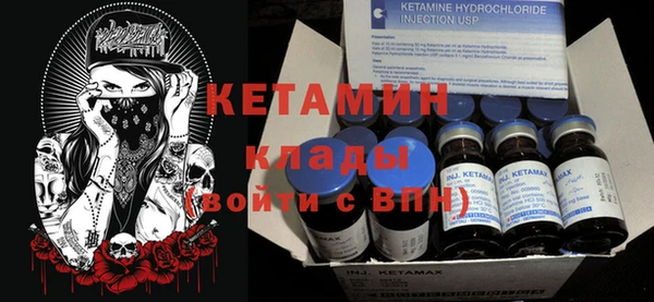 крисы Алексин