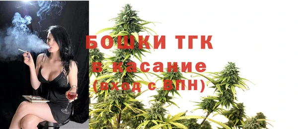 крисы Алексин