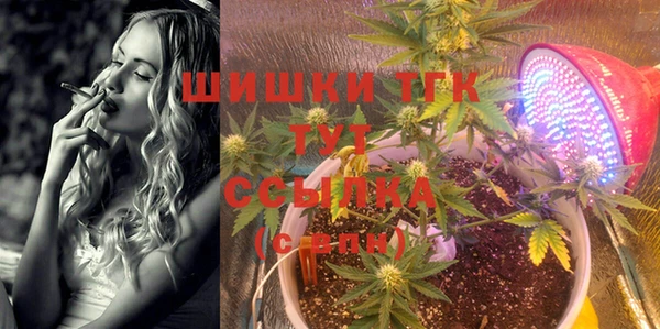 тгк Алексеевка