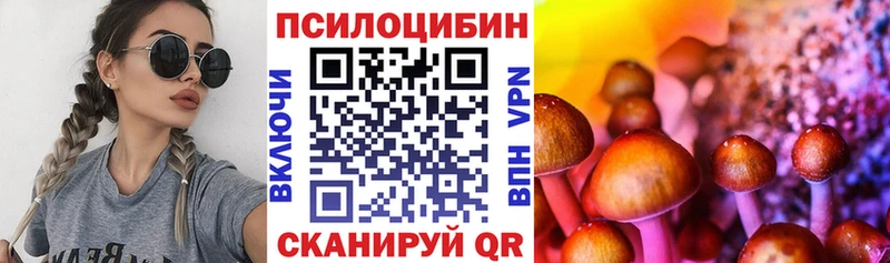 Галлюциногенные грибы мухоморы  Приморск 