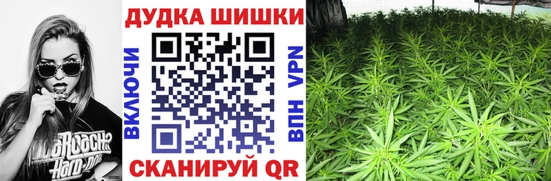 Бошки марихуана Bruce Banner  купить наркотик  Приморск 